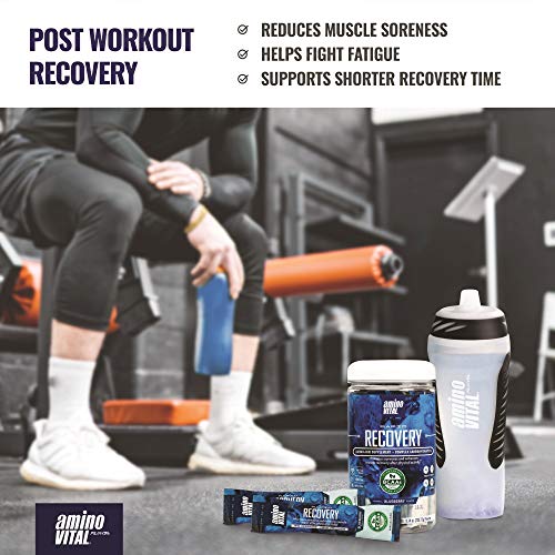 Amino Vital Rapid Recovery- BCAAs Amino Acid Post Workout Powder Packets | Muscle Recovery Drink with Glutamine | Vegan, Gluten Free Supplement | Single Serve BCAA Travel Packets | Blueberry Flavor