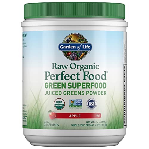 Garden of Life Raw Organic Perfect Food Green Superfood Juiced Greens Powder - Chocolate, 30 Servings (Packaging May Vary)