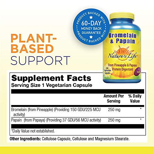 Nature's Life Bromelain & Papain | Proteolytic Enzymes for Digestive Support & Comfort | from Pineapple & Papaya | 250mg (250 CT)