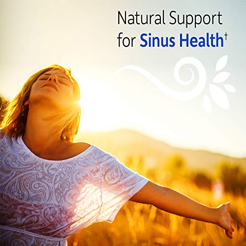 Garden of Life Natural Sinus Support - Herbal Immune Balance Sinus with Enzyme Blend, Vegetarian, 30 Capsule *Packaging May Vary*