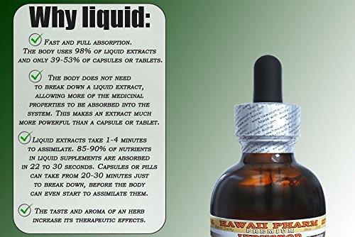 Bromelain Alcohol-Free Liquid Extract, Bromelain (Ananas Comosus) Dried Powder Glycerite Herbal Supplement 15x4 oz