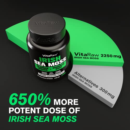 𝗪𝗜𝗡𝗡𝗘𝗥 - 𝟮𝟰𝟬𝟬𝗺𝗴 Natural Irish Sea Moss Capsules - Burdock Root & Bladderwrack Powder Seamoss Pills for Immune Support, Joint & Thyroid Support & Gut Health - Raw Sea Moss