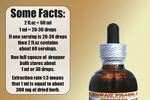 Bromelain Alcohol-Free Liquid Extract, Bromelain (Ananas Comosus) Dried Powder Glycerite Herbal Supplement 2x32 oz Unfiltered