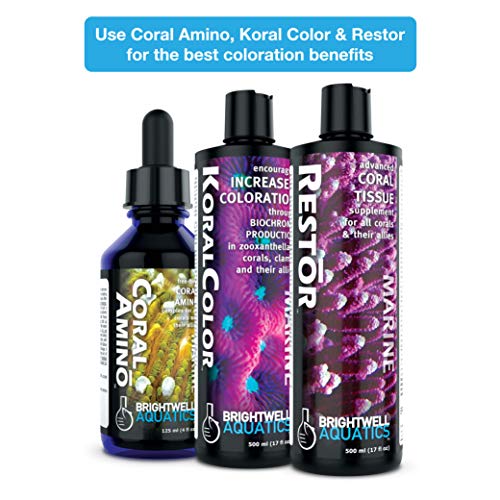 Brightwell Aquatics CoralAmino - Amino Acid Complex for Coral Coloration & Growth, 250ml