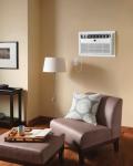 Frigidaire Through-the-Wall Room Air Conditioner, Remote Control, Washable Filter, Timer & Sleep Mode, 115/120V, White (12,000)