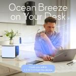 Portable Desk and Camping Cooling Fan - Evasmart