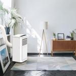 8000 BTU Portable AC for Rooms up to 350 Sq. Ft