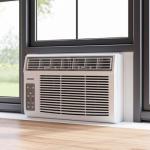 Durastar 10,000 BTU Window Air Conditioner with Remote