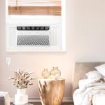 Hisense 8,000 BTU Smart Window AC with Wi-Fi