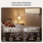 Comfort Temps 24000 BTU Ductless Mini Split AC