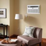 Frigidaire Through-the-Wall Room Air Conditioner, Remote Control, Washable Filter, Timer & Sleep Mode, 115/120V, White (12,000)