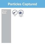 Filtrete 20x25x1 Air Filter, 6-Pack Replacement