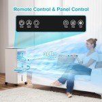 Portable 3-in-1 Air Conditioner with Remote Control