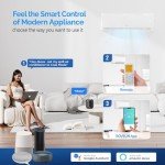 ROVSUN 12000 BTU WiFi Mini Split AC & Heater