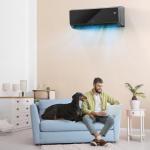 ROVSUN 9,000 BTU Mini Split Air Conditioner & Heater, 19 SEER2 115V Energy Saving Inverter Ductless Wall AC Unit with Pre-Charged Condenser, Heat Pump & Installation Kit, Black