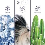 Freonic 6,000 BTU Window Air Conditioner and Dehumidifier, 115V, Window AC Unit for Apartment, Dorm Room, and Small to Medium Rooms up to 250 Sq. Ft., Air Conditioner Window Unit with Remote in White