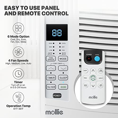 Mollie 6000 BTU Window Air Conditioner - Powerful Cooling
