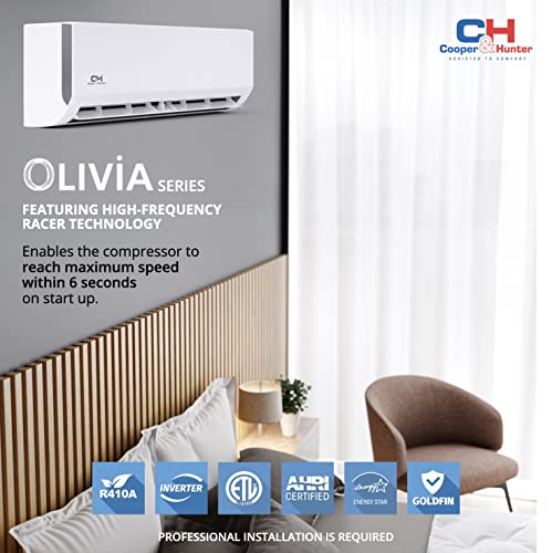 18,000 BTU Dual Zone Ductless Mini Split A/C