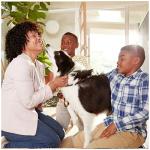 Filtrete 20x20x1 AC Furnace Air Filter, MERV 11, MPR 1000, Micro Allergen Defense, 3-Month Pleated 1-Inch Electrostatic Air Cleaning Filter, 4 Pack (Actual Size 19.69 x 19.69 x 0.81 in)