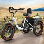 Electric Tricycle for Adults, 20" Fat Tire 3 Wheel Electric Trike with 960W Rear Motor, 48V 648Wh Removable Battery Ebike 55Miles Range, 25MPH Cargo Tricycle with Basket, Differential for Safety WH