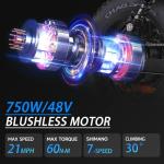 Spacewalk Small Electric Bike,16" Fat Tire Ebike,Compact Design,More Suitable for Riders Under 5'2", and Teenagers with 750W Brushless Motor, 21.7MPH with Removable 48V/15AH Battery,-Black