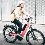 LGECOLFP 48V Ebike Battery15Ah Ebike Battery Pack with USB Port 3A Fast Charger 30A BMS for 48V Controller 250W-1000W Motor