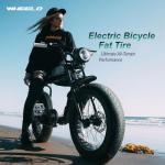 WHEELO E-Bike Fat Tire: 20x4.0 Inch Heavy Duty Fat Tire for Electric Mountain Bicycle and Trike,Folding High-Performance and All-Terrain Tire with Offroad or Trail Riding