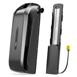 H HAILONG 48V 15Ah Lithium Battery for Electric Bike/E-Bike/Scooter, 54.6V 4A Fast Charger & 30A BMS, Power Switch, LED Display, Secure Lock, Compatible with 100W-1000W Motors (Motorcycle/Tricycle)