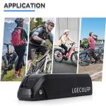 LGECOLFP 48V Ebike Battery 48V 10AH Lithium ion Battery Pack with 3A Fast Charger 30A BMS Fit for Electric Bicycle Bike 1000W-250W Motor