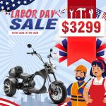 eAhora M1P Electric Trike for Adults, 2000W Brushless Motor 26MPH Electric Tricycle,60V 30AH Fast Charge Battery,F&R Disk Brake, Hydraulics Suspension,3 Wheel Electric Bikes