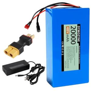DYMOZYNE 48V Battery 20Ah Ebike Battery 48V Lithium Battery 20Ah Electric with 2A Charger, T-Plug to XT60 Connector and BMS for 200-800W Scooter and Electric Bicycles Motor (48v20ah(200-1000w))