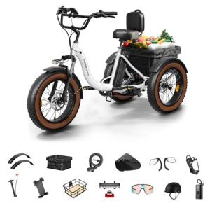 Electric Tricycle for Adults, 20" Fat Tire 3 Wheel Electric Trike with 960W Rear Motor, Range,Differential for Safety, 25MPH Cargo Tricycle with 2 Basket, 48V 648Wh Removable Battery Ebike 55Miles WH