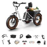 Electric Tricycle for Adults, 20" Fat Tire 3 Wheel Electric Trike with 960W Rear Motor, Range,Differential for Safety, 25MPH Cargo Tricycle with 2 Basket, 48V 648Wh Removable Battery Ebike 55Miles WH