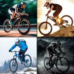 HAILONG 48V 20Ah Lithium-Ion Battery for Electric Bike/Scooter/Motorcycle/Tricycle, 40A BMS & 4A Fast Charger with LED Display, Power Switch, Secure Lock - Compatible with 100-1200W Motors