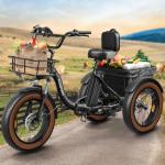 Electric Tricycle for Adults, 960W, 48V13.5Ah Electric Trike, 20"x4.0" 6061 Aluminum Folding Fat Tire 3 Wheel Ebike, 25MPH Max Hydraulic Brake, Rear Motor Differential for Safety BA