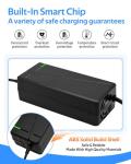 54.6V 3A / 5A Super Fast Charger for 48V Lithium Battery,No Adapter,7 Types of Plugs to Choose from,More Secure.Compatible with Most Plugs. with Cooling System (DC5.5x2.1mm plug-5A)