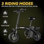 DTTZH Foldable Ebike for Adults - 750W Folding Electric Bike, 14" Commuter Adult Electric Bicycles, 500W Motor 20MPH E Bike, 48V 10Ah Removable Battery UL 2849 Certified, 40 Miles Pas Range (Black)