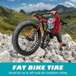 BALINGE 2 Pack Fat Tire for Ebike Mountain Bike Heavy Duty High-Performance Wear-Resistant E-Bike Mountain Snow Bike Tire 20" x 4"，Black，2 Tires 2 Tubes 2levers