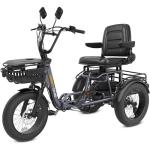 Meetone Breeze Folding Electric Tricycle for Adults (with Upgraded Folding Seat), 20MPH 80Miles Electric Trike