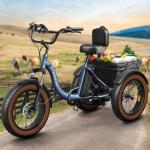 Electric Tricycle for Adults, 20" Fat Tire 3 Wheel Electric Trike with 960W Rear Motor, 48V 648Wh Removable Battery Ebike 55Miles Range, 25MPH Cargo Tricycle with Basket, Differential for Safety BLU