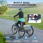 ANCHEER Electric Tricycle for Adults, Peak 600W Electric Trike, 24" 499Wh Folding 3 Wheel Ebike for Adults & Seniors, 15.5MPH & 55Miles Electric Bike, Rear Differential, Rear Basket (Orange Tricycle)