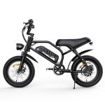 VDL Mountain Electric Bike for Adults, 16" Fat Tire Ebike, Wider Seat 800W Peak Motor, Removable Battery, Front Fork Suspension, 20MPH, UP to 35 Miles Mountain Ebike, for Leisure Riding&Commuting