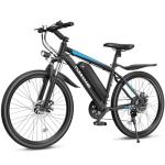 Funhang 1000W Electric Mountain Bike for Adults