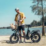 Folding Electric Bike for Adults with Fat Tires