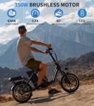 WINDHORSE 16" Folding Electric Bike for Commuters