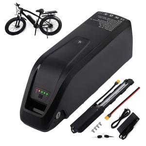 High-performance 48V Ebike Lithium Battery (1500W)