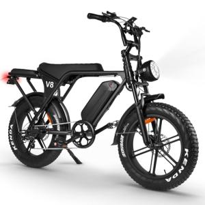 Hipatoo V8 Adult Electric Fat Tire Bike