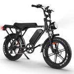 Hipatoo V8 Adult Electric Fat Tire Bike