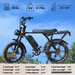 Hipatoo V8 Adult Electric Fat Tire Bike