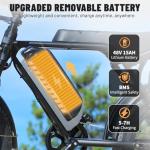 Hipatoo V8 Adult Electric Fat Tire Bike